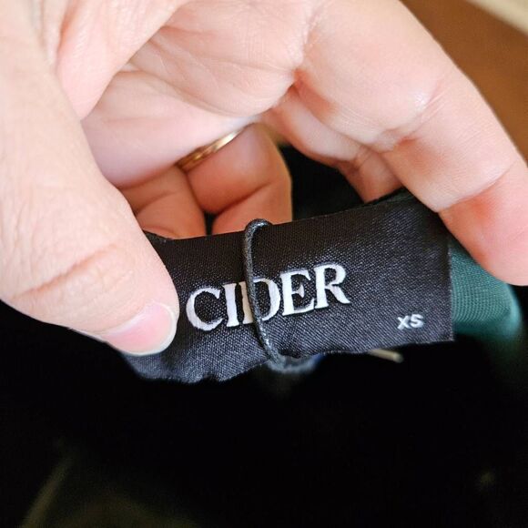 NWT Cider Velvet Boat Neck Ruched Mini Dress - Picture 8 of 9